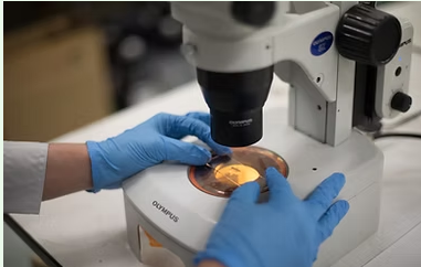 就業先イメージ