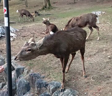 就業先イメージ