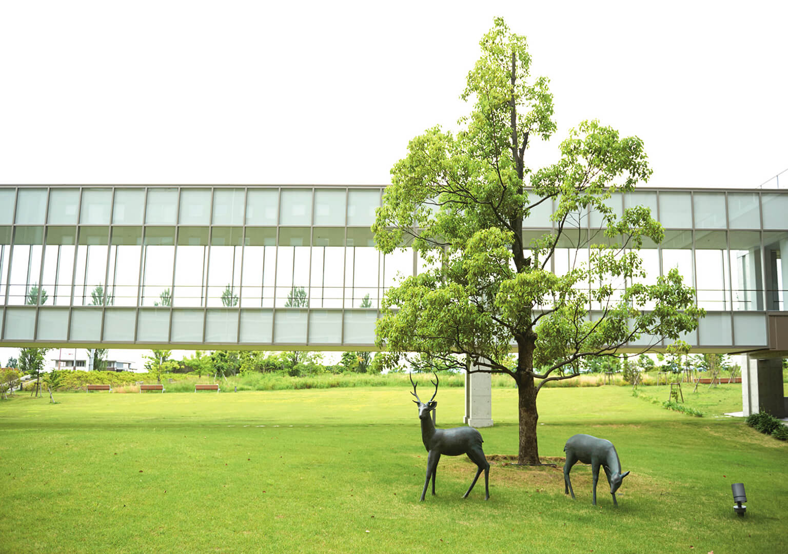 就業先イメージ