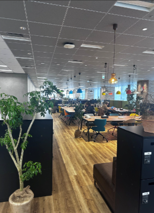 就業先イメージ