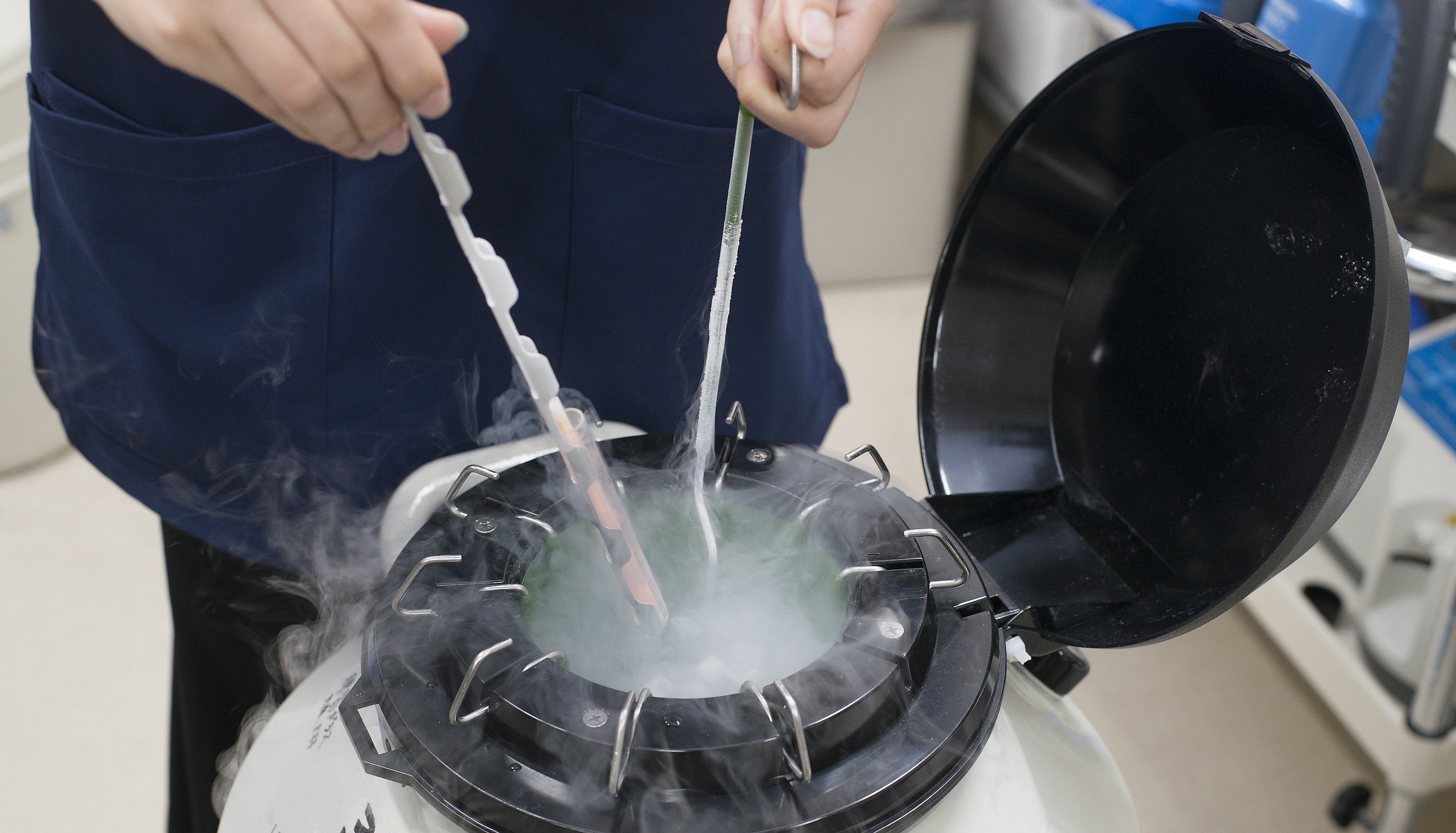 就業先イメージ