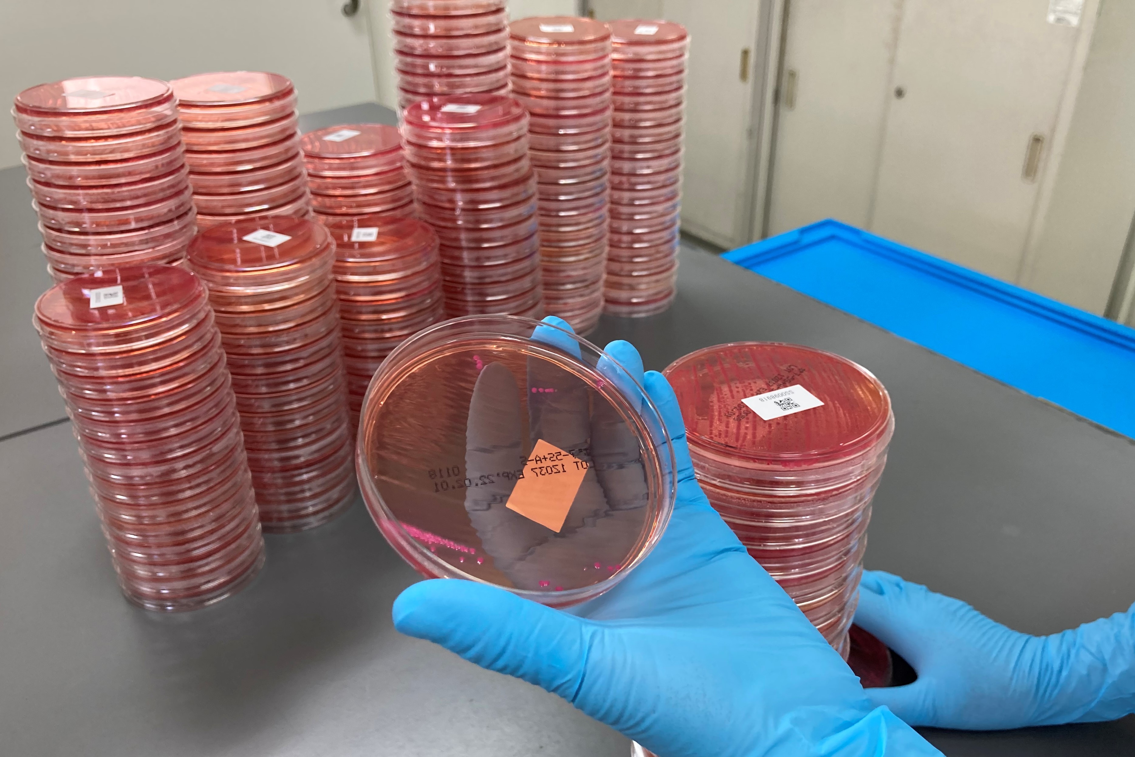 就業先イメージ