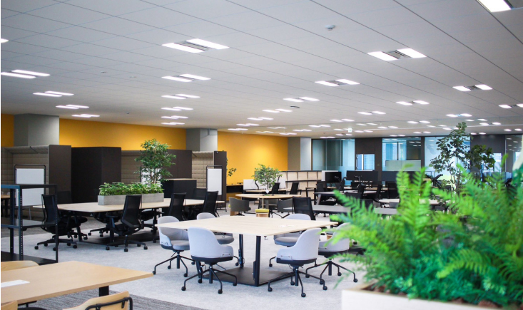 就業先イメージ