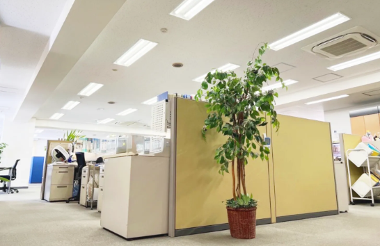 就業先イメージ