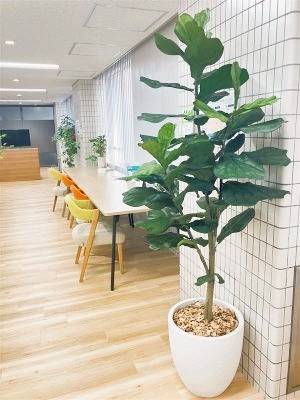 就業先イメージ
