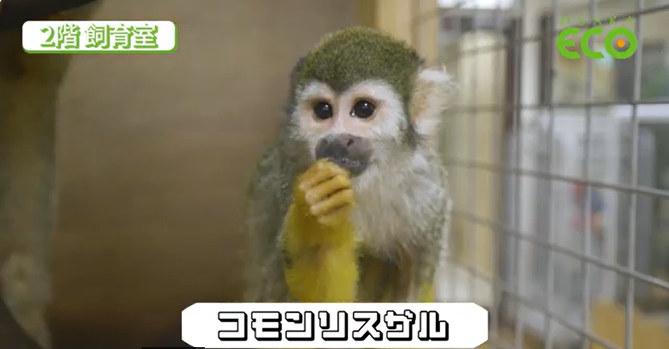 就業先イメージ