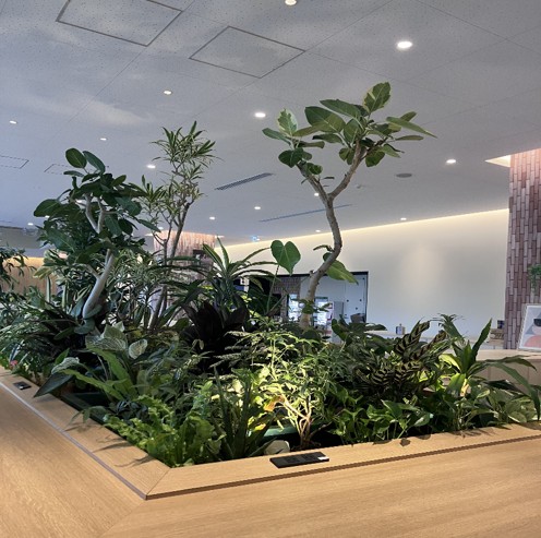 就業先イメージ