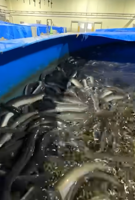 就業先イメージ