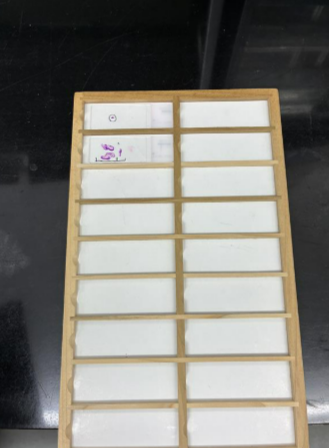 就業先イメージ