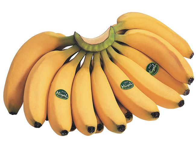 就業先イメージ