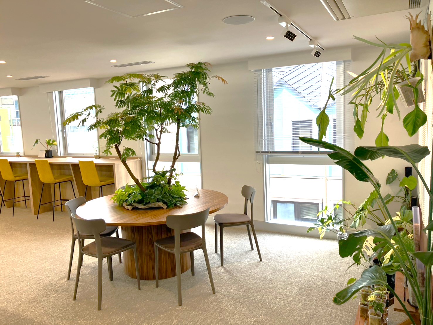 就業先イメージ