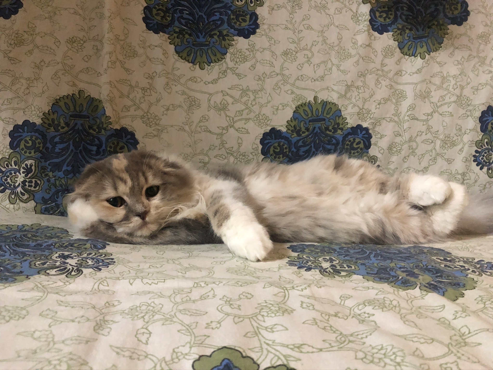 就業先イメージ