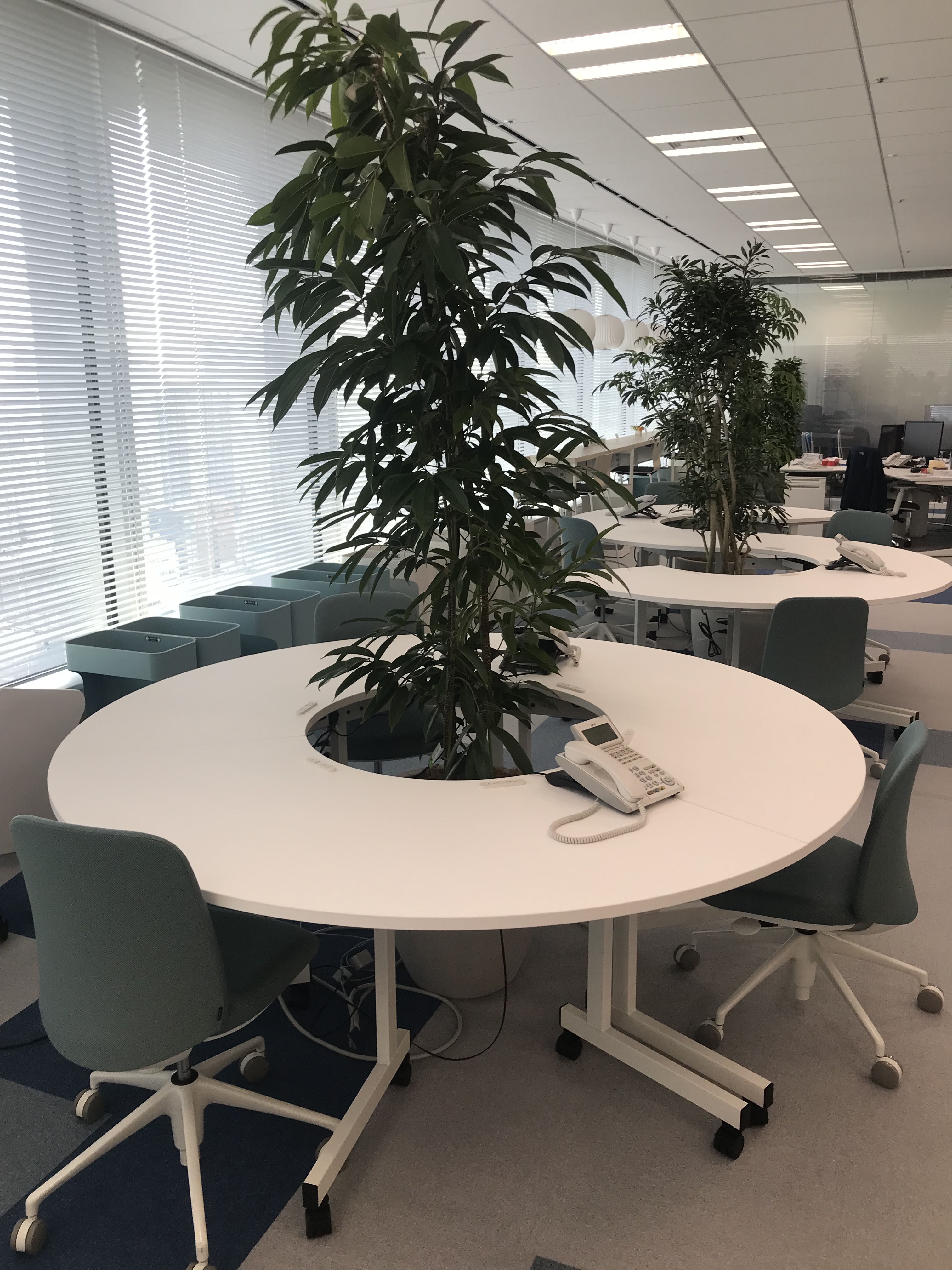 就業先イメージ