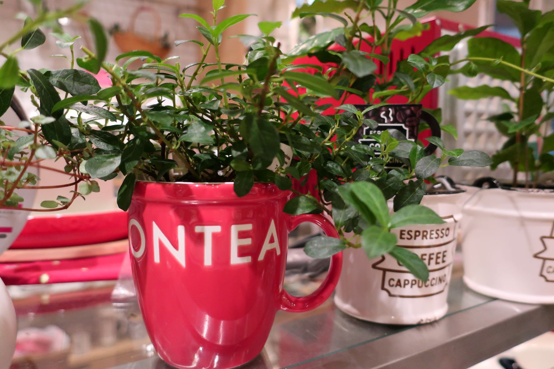 就業先イメージ