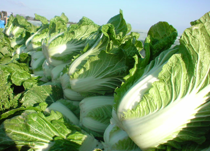 就業先イメージ