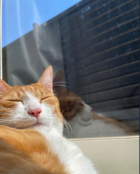 就業先イメージ