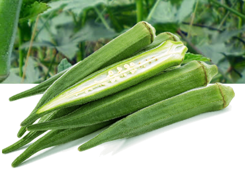 就業先イメージ