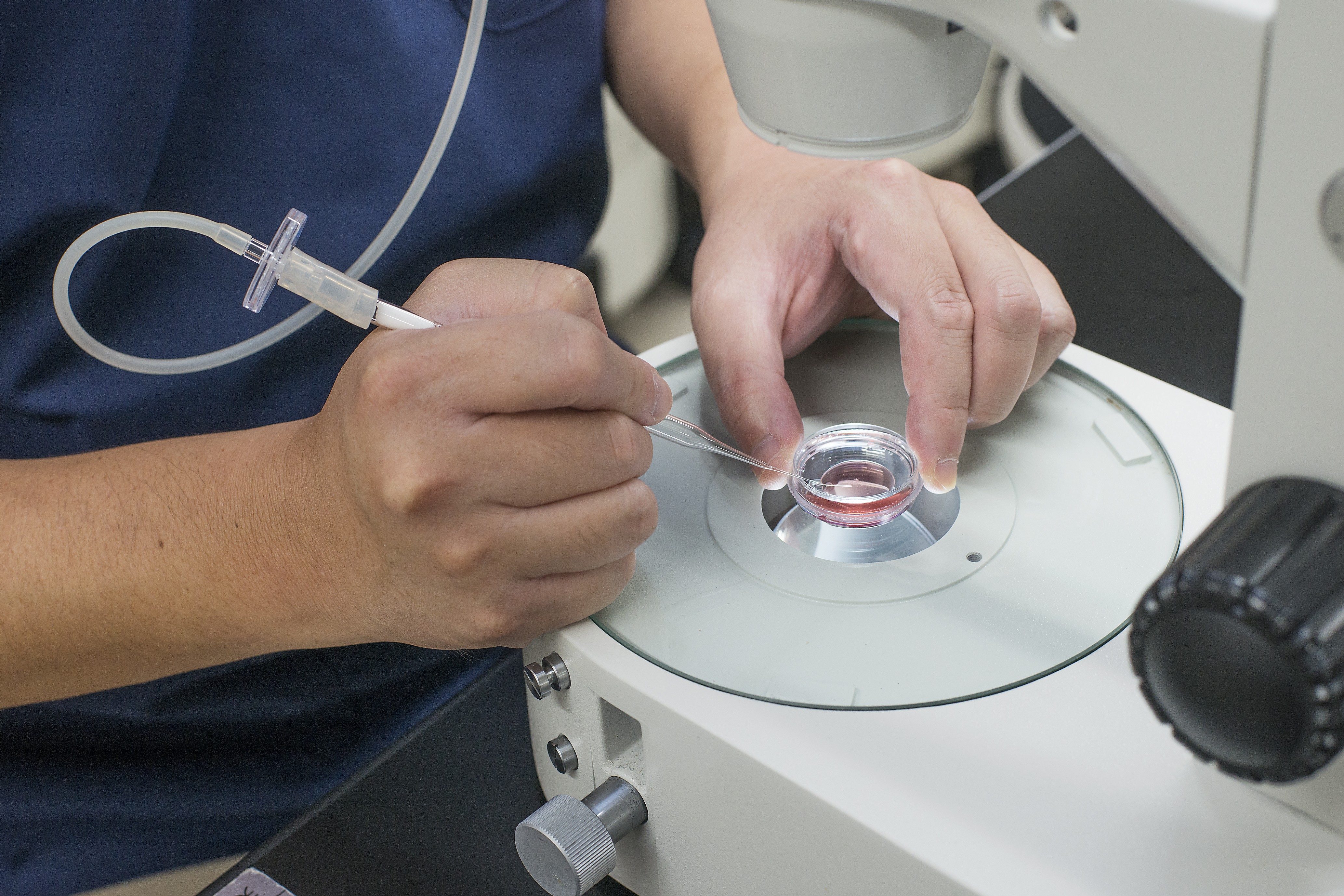 就業先イメージ