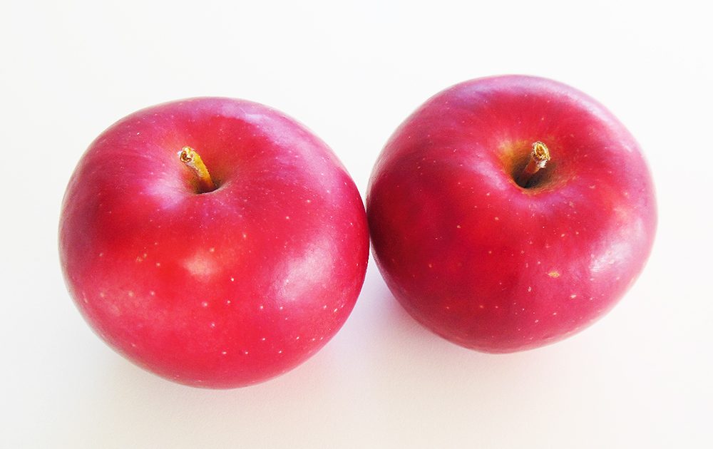 就業先イメージ