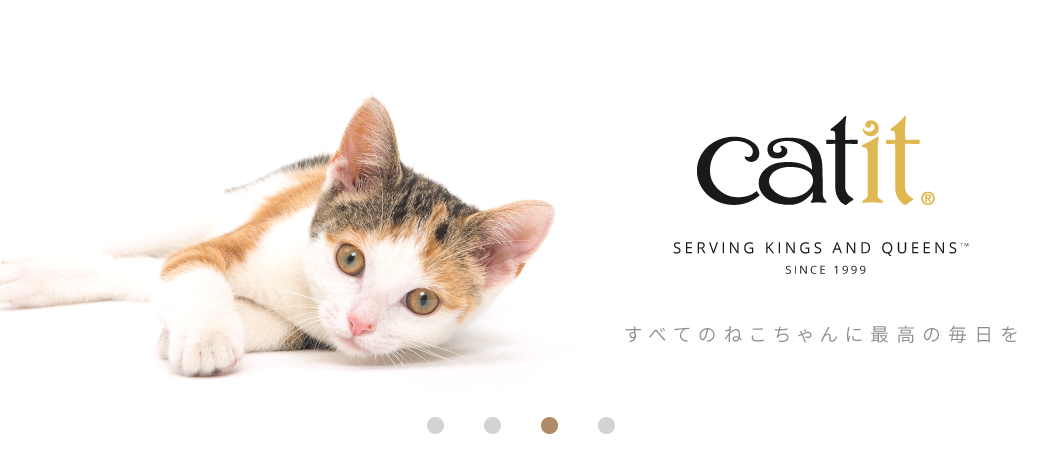 就業先イメージ