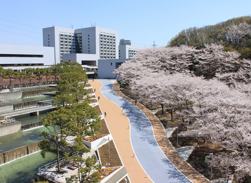 学食専用の4階建ての棟では、安くて美味しいランチができます。