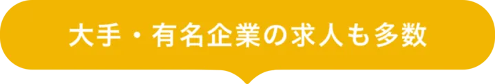 大手・有名企業の求人も多数