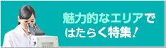 魅力的なエリアではたらく特集