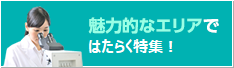 魅力的なエリアではたらく特集