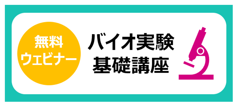 /knowledge/l-campanera/2024/images/other/img_l-campanera_2024_11_04.png